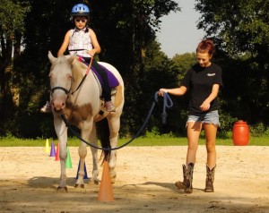 reno therapy horse